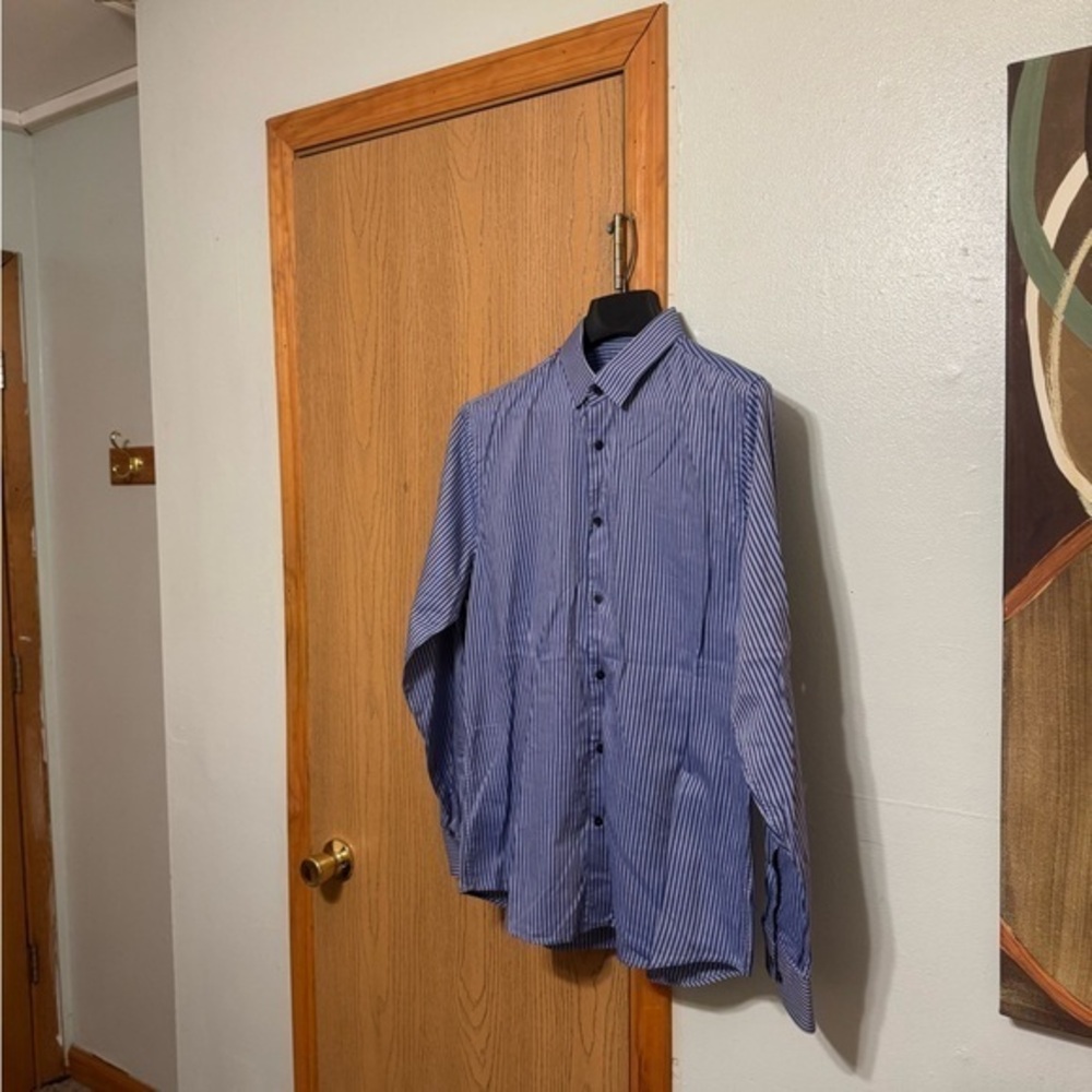 Express Large Blue w/Stripes Long Sleeve Button-Front Fitted Dress Shirt - EUC